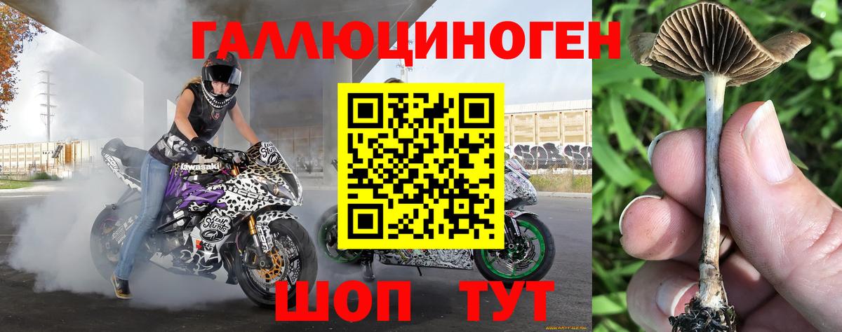 Псилоцибиновые грибы ЛСД Новый Уренгой